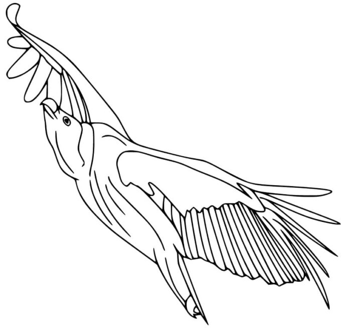 Libro para colorear en línea Un pájaro buitre en vuelo