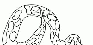 Farvelægningsbog Python hænger fra et træ til udskrivning