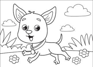 Libro para colorear en línea Perro chihuahua feliz en la pradera