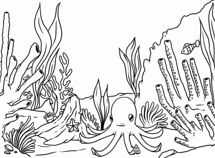 Coral reef coloring book to print