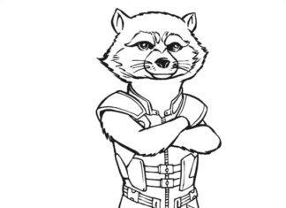 Libro para colorear Rocket the Raccoon de los dibujos animados