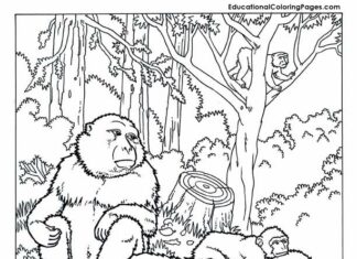 Livro colorido imprimível Uma família de orangotangos na floresta