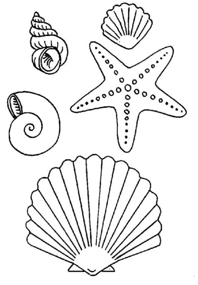 Farvelægningsbog til udskrivning med søstjerner og skaller i havet