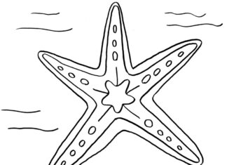Coloring Book Starry Day at Sea to print
