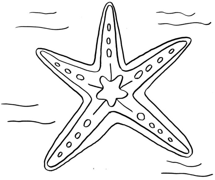 Libro para colorear de estrellas de mar en el fondo del mar para imprimir y  online