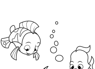 Fish and coral coloring book to print