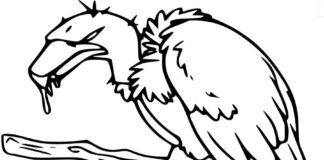 Livre de coloriage en ligne Un vautour regarde en bas d'une branche