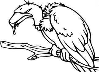Online coloring book A vulture looks down from a branch