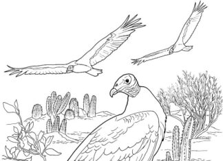 Online coloring book Vultures in flight