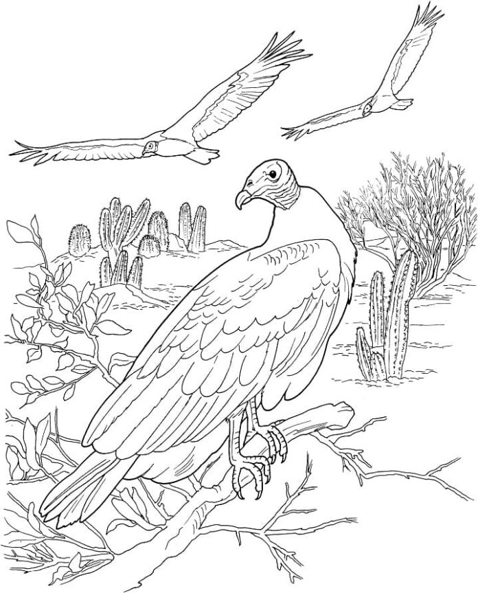 オンライン塗り絵 Vultures in flight