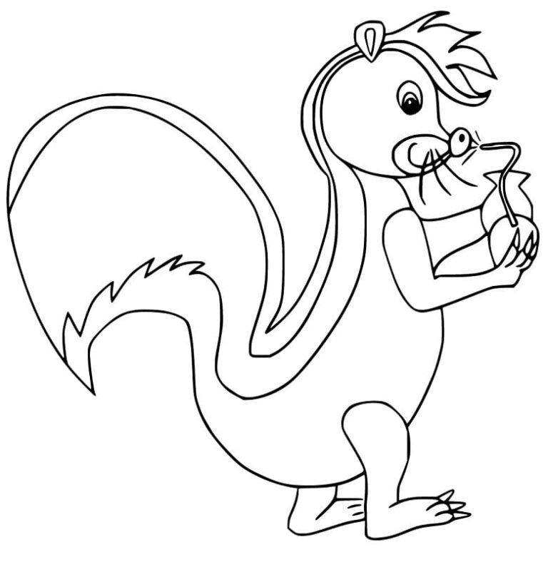 Skunk coloring book for kids to print and online