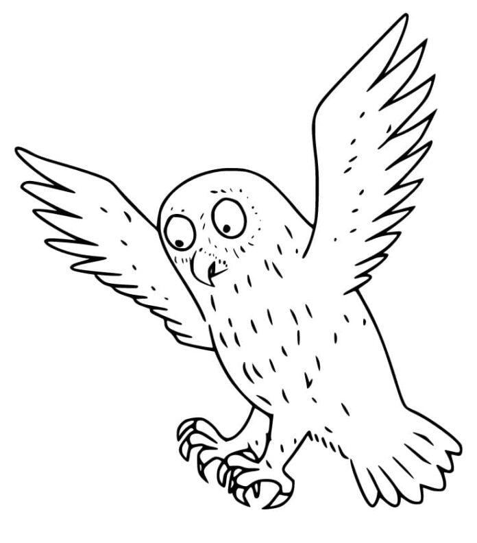 Omaľovánky Gruffalo Owl na vytlačenie