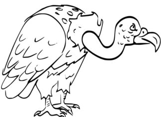 Livro online para colorir A velha ave abutre