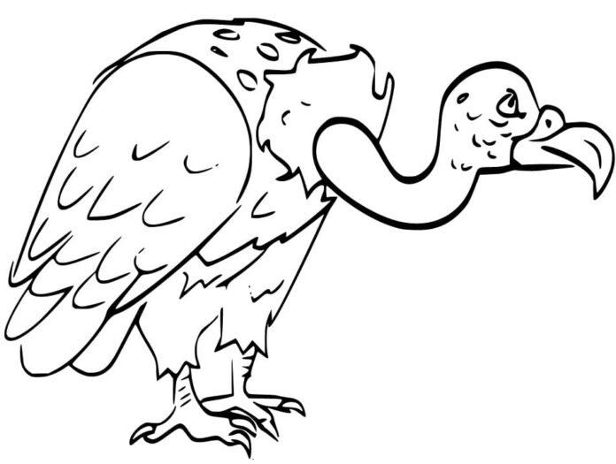 Online coloring book Old vulture bird