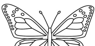 Omaľovánka Motýľ Shablom na vyfarbenie pre tlač