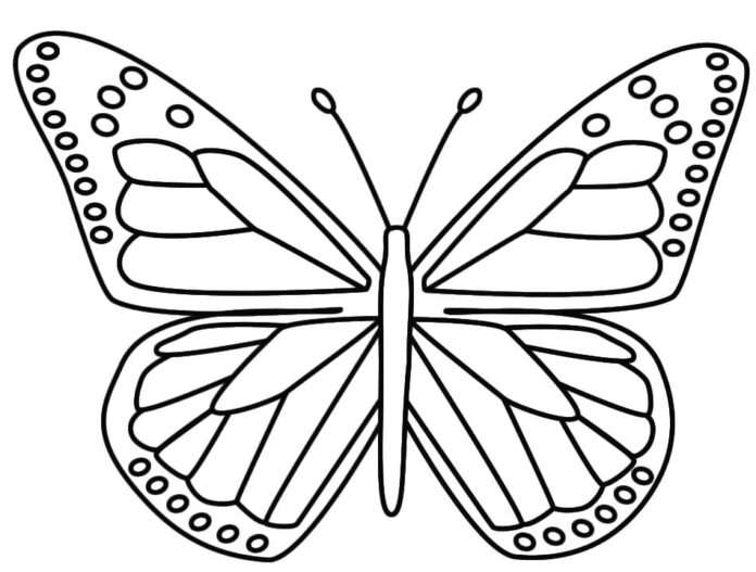 Omalovánky Motýl Shablom k vybarvení pro tisk
