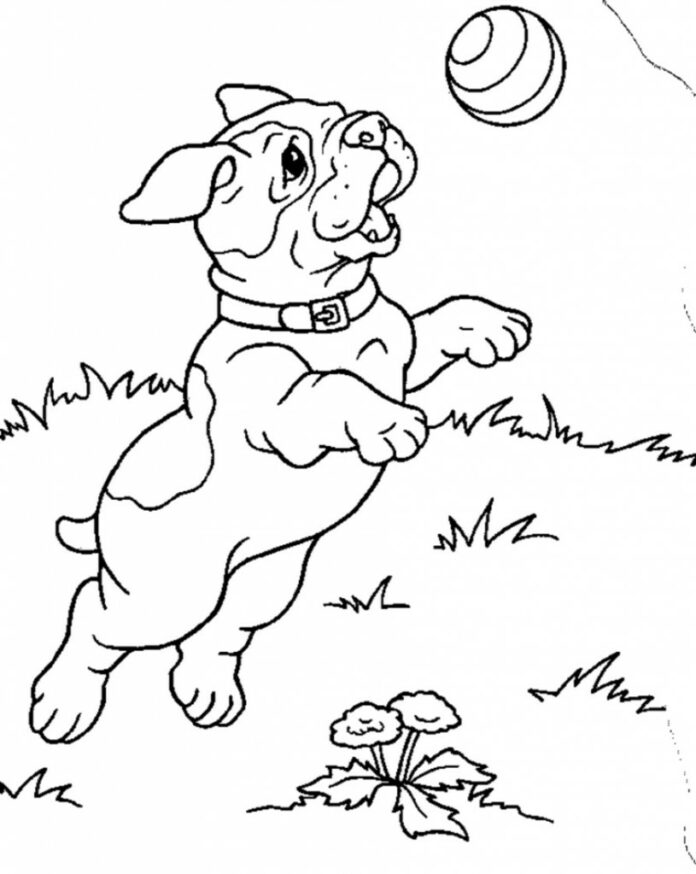 Libro da colorare sui giochi dei cuccioli e delle palline da stampare