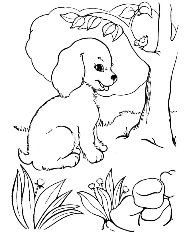 Koiranpentu niityllä tulostettava värityskirja