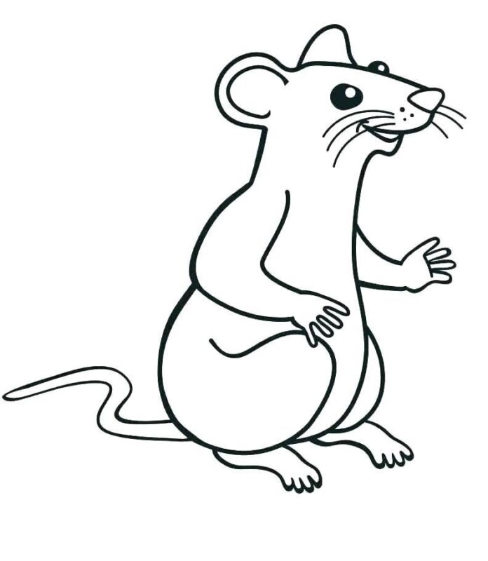 Färgbok Rat för barn på nätet