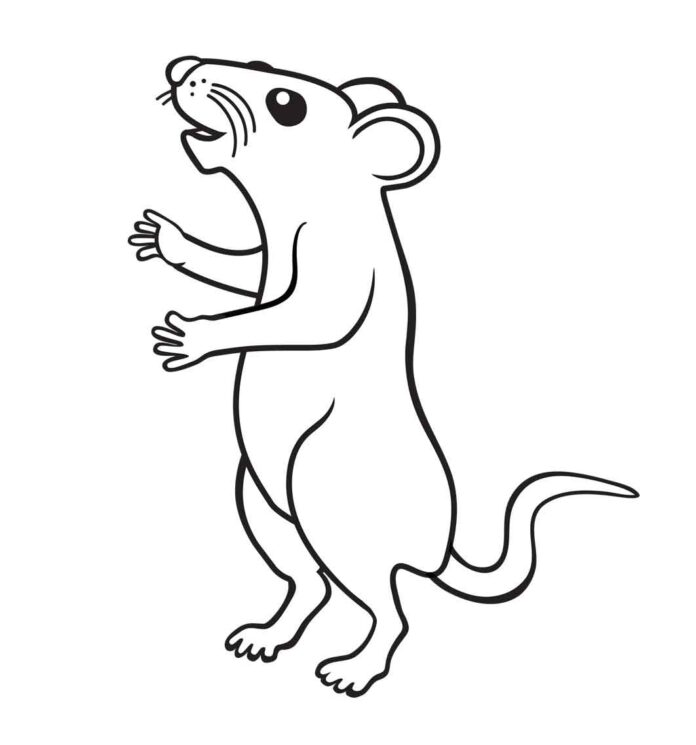 Online-Malbuch Ratte auf zwei Beinen aus dem Märchen