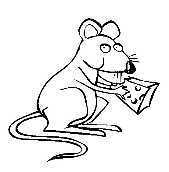 Online värityskirja Rotta syö juustoa