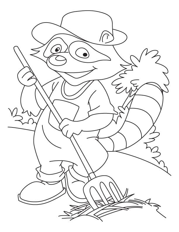 Malbuch Raccoon Gardener