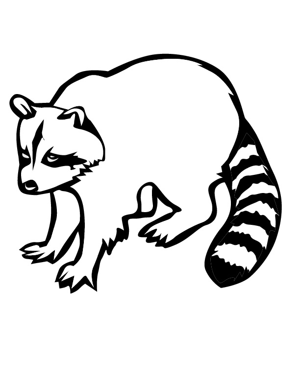 Prairie Raccoon värityskirja, jossa on pitkä häntä tulostettavaksi