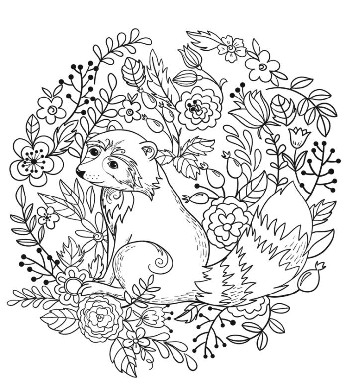 Coloring Book Raccoon with Flowers