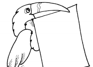 Teckningsbok för tukaner och utskrivbart pappersark