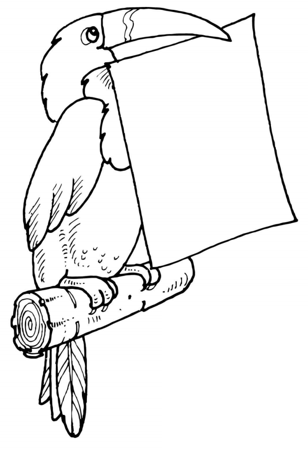 Omaľovánka Tukan a hárok papiera na vytlačenie