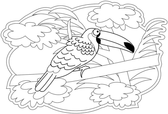 Ausmalbuch Tukan aus dem Märchen für Kinder zum Ausdrucken