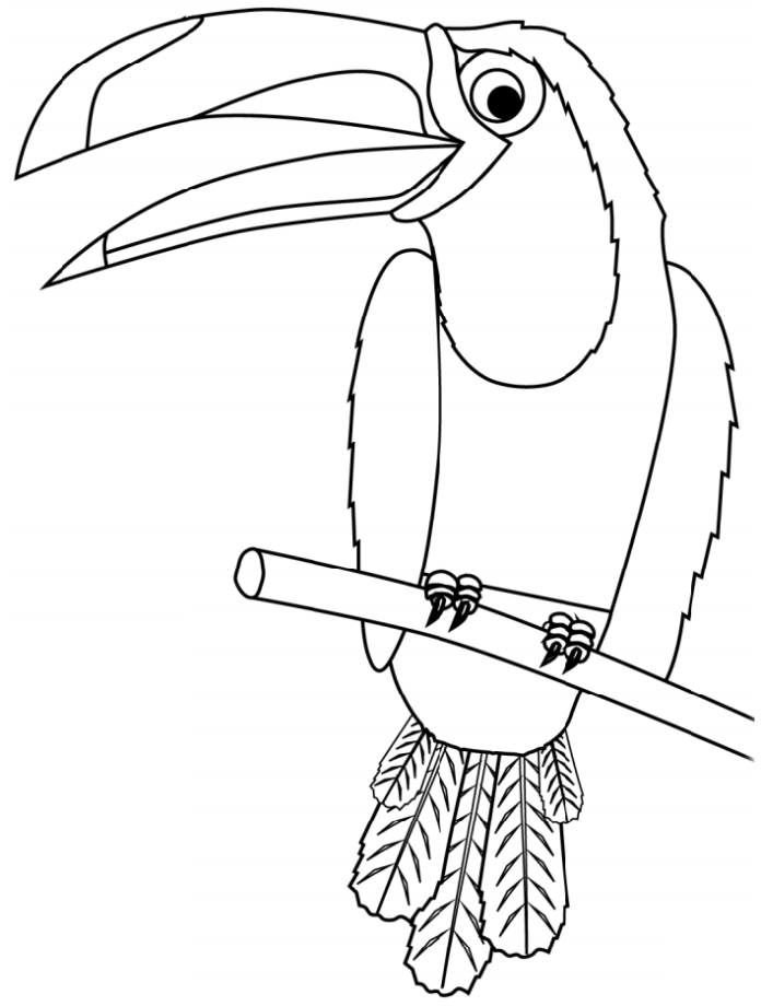 Omalovánky k vytisknutí Tukan s velkým zobákem