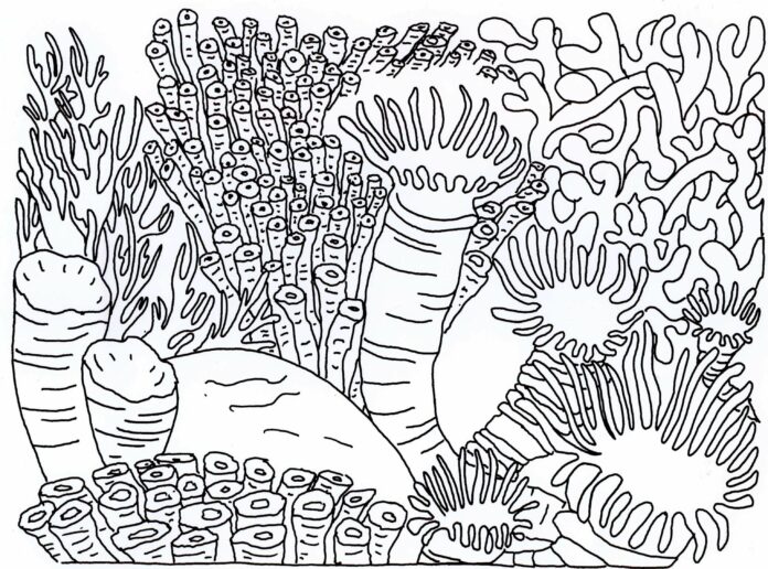 Coloring book Anemones in the ocean to print