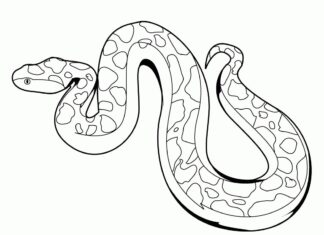 Udskrivbar malebog til børn om slangepython