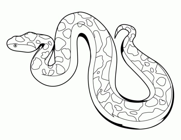 Livro para colorir a cobra Python para as crianças imprimirem