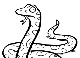 Livro colorido imprimível The Gruffalo Snake