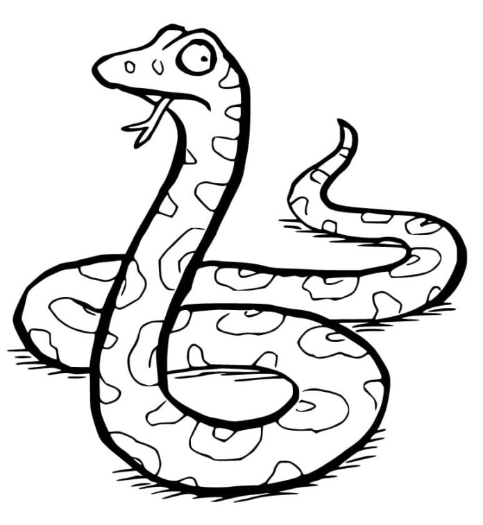Nyomtatható színező könyv A Gruffalo kígyó