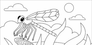 Printable Colouring Book Dragonfly Hunting