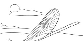 Colouring book Dragonfly sits on a rock to print