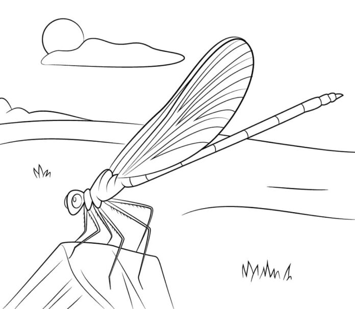 Malebogen Dragonfly sidder på en sten til udskrivning