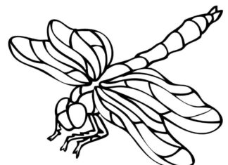 Bedruckbares Malbuch Libelle in Größe xxl für Kinder