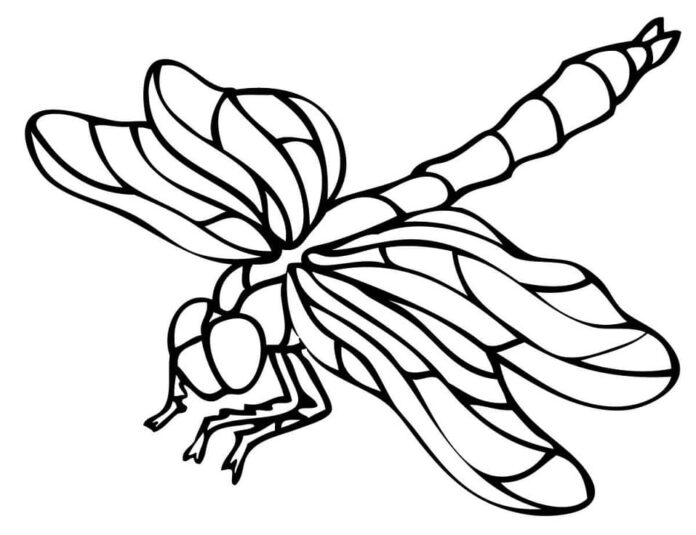 Bedruckbares Malbuch Libelle in Größe xxl für Kinder