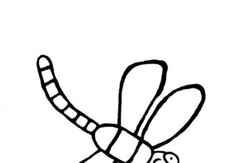 Printable Dragonfly Coloring Book