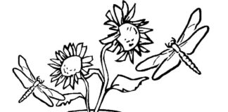 Livre de coloriage Libellules à côté d'une fleur à imprimer