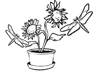 Színező könyv Szitakötők egy virág mellett nyomtatáshoz