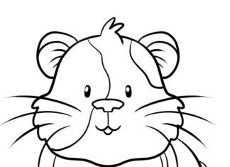 Livre à colorier Happy Guinea Pig à imprimer