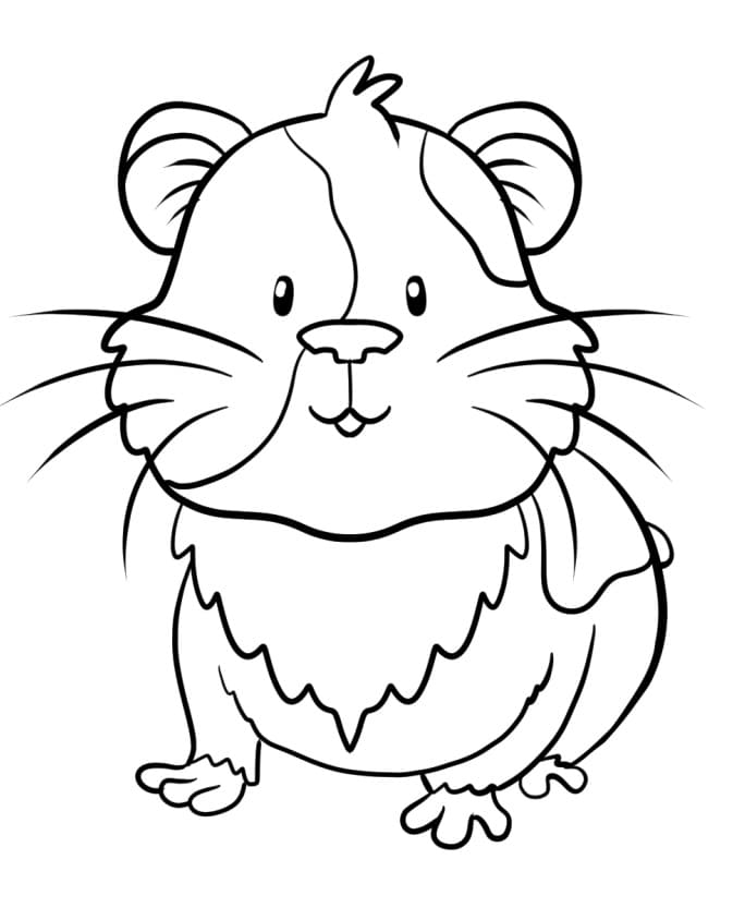 Livro colorido Happy Guinea Pig imprimível