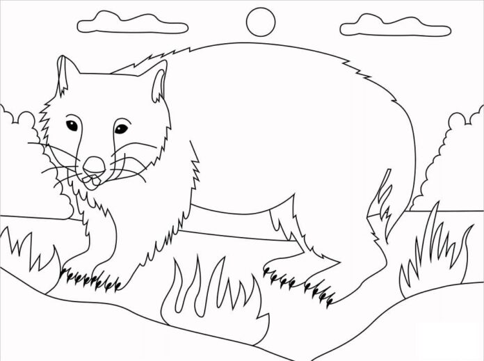 Libro da colorare Wombat walks in the meadow da stampare