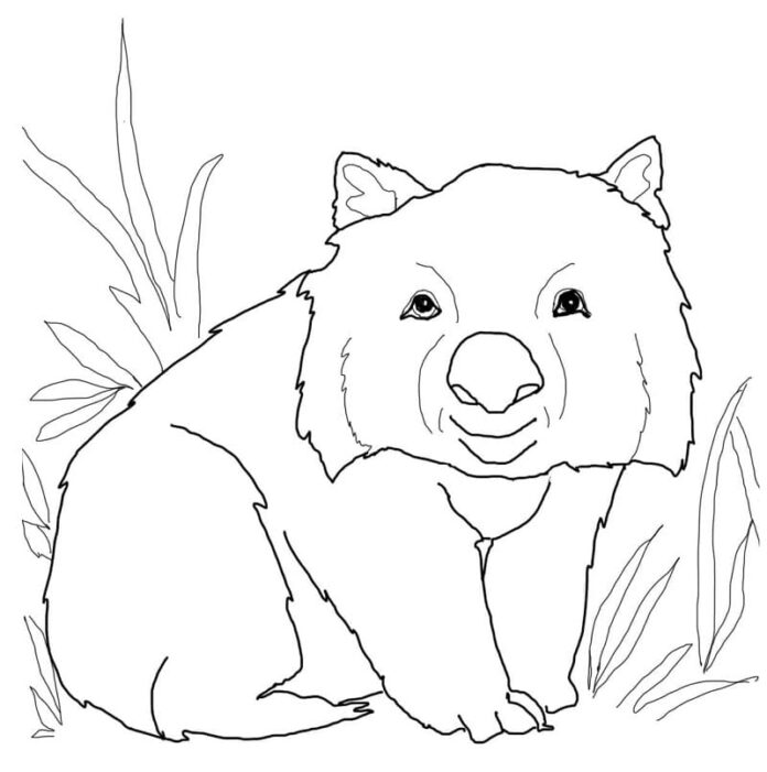 Libro para colorear Wombat entre hierbas para imprimir