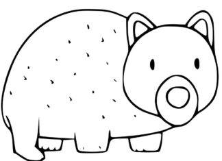 Färgbok för Wombat som kan skrivas ut
